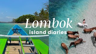 lombok vlog 2024 | SECRET island paradise found, swimming with horses and escaping crowds in Bali🌴