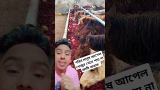 গরিব মানুষ আপেল খেজুর খেতে পায় না আমি অবাক