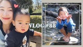 Vlog #88 Napa一家四口短途旅行日记 | 第一次二带二出游！挑战又期待 | 带两个不满3岁的宝宝吃米其林三星是什么样的体验？