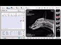 ExamVue Demo for Vet Digital X-Ray