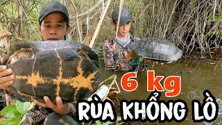 Thăm dớn lần đầu tiên dính rùa Khổng Lồ nặng 6 kg | turtle gửi vào chùa phóng sanh