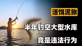 “泥鳅党”有多可恶？小半年钓空大型水库，钓鱼圈人人喊打！