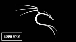 KALI LINUX NETCAT REVERSE SHELL 2018