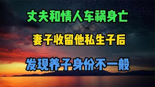 丈夫和情人车祸身亡，妻子收留他私生子后，发现养子身份不一般