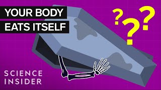 What Happens To Your Body 100 Years After Death