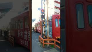 【踏切カンカン】阪堺電車 我孫子道駅 #railroadcrossing