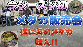 今年初のメダカイベントであのメダカ購入‼️ZIZIメダカ\u0026遠州Jメダカ