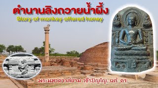 EP.38 รายการสาระน่ารู้ ตำนานลิงถวายน้ำผึ้ง (Story of Monkey's chief offered honey)