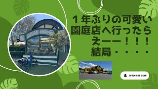 ニュージーランド多肉生活２月１４日　１年ぶりに可愛い雑貨もある多肉も結構ある園芸店に行ったら・・・・・・