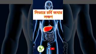 আপনার লিভার সুস্থ রাখার জন্য স্বাস্থ্য টিপস | Health Tips to keep your Liver Healthy