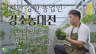 작지만 강한 👩‍🌾농업인👨‍🌾 강소농대전을 온라인💻으로 만나보세요 (feat. 디지털케이팜위크)