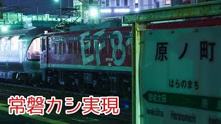 常磐線経由 カシオペア紀行 青森行 原ノ町駅到着\u0026発車 EF81-95牽引 10/16