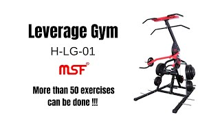 MSF Leverage Gym H-LG-01 (Home series)