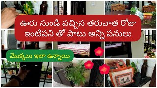 #vlog ఊరు నుండి వచ్చిన తరువాత రోజు ఇంటిపని తో పాటు అన్ని పనులు/మొక్కలు ఇలా ఉన్నాయి #viral #telugu