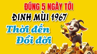 Giới tử vi rầm rộ báo tin. Đinh Mùi 1967 gặp vận đỏ, đúng 5 ngày tới là thời điểm đổi đời giàu sang!