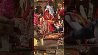 Vibrant Pashtun Wedding: Colors, Music, and Joy! 20250110