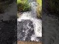 wintertime stream water flowing short shorts video