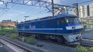 Locomotive EF210 Momotaro running through Shin-Kawasaki station