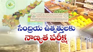 సేంద్రియ సాగు, ప్రకృతి వ్యవసాయానికి పెరుగుతున్న డిమాండ్‌ | Demand  organic Farming | Guntur