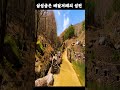 지리산 삼성궁은 배달겨레의 성전입니다 korea travel