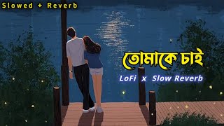 Tomake Chai - তোমাকে চাই | Arijit Singh | Slowed & Reverb | Lofi Song | Bengali lofi
