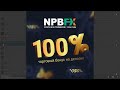 Бонус 100% к вашему депозиту. Открыть торговый счет npbfx.