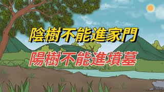 老話說：“陰樹不能進家門，陽樹不能進墳墓”，哪些是陰樹？為什麼這麼說？【減壓文化】#國學 #文化 #古人的智慧 #俗語 #俗話說 #陰樹不能進家門#陽樹不能進墳墓