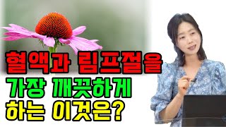 혈액과 림프절을 가장 깨끗하게 하는 이것은? [하늘마을 힐링센터 유소영 원장]