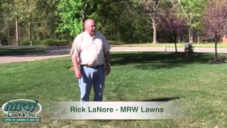 Lawn Care  - How to Avoid Drought Stress