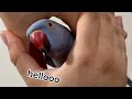 I love You || Beautiful Talking Parrot 🦜 || The blue rio