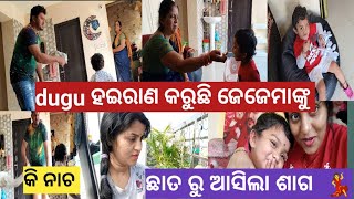 କି ନାଚ 2ଜଣଂକର /ଆଜି ଜେଜେମାଙ୍କୁ ପୁରା ହଇରାଣ  କରୁଛି puchkin ଶେଷରେ ଶାଗ ଆସିଗଲା ଖାଇବାକୁ💃/ଦୁଷ୍ଟ କି କଥା ଗପୁଛି