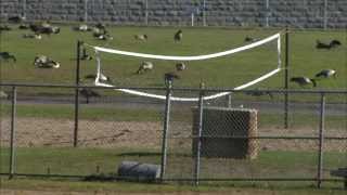 A rare look inside St  Cloud prison