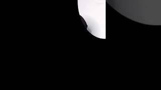 tik tok sheep nhé #sheep  #tiktok