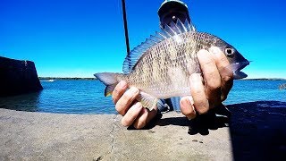 Light Tackle Fishing at Cossack, Western Australia..