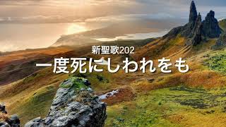 新聖歌202 一度死にしわれをも