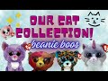 Our beanie boo cat collection! 😻