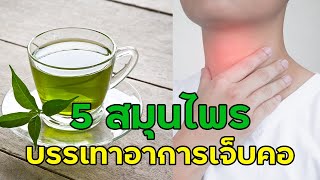 สุขศึกษาน่ารู้ EP79 : 5 สมุนไพร สรรพคุณแก้เจ็บคอ