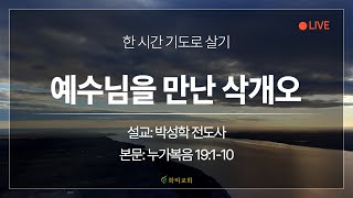 [화미교회] 23.08.11 | 온라인 새벽기도 | 눅 19:1-10 | 예수님을 만난 삭개오 | 박성학 전도사