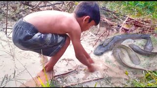 Hand Fishing By Village Boy | Fishing In Mud Water| Primitive | Primitive Survival #fishing #shorts