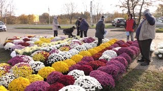 Po ile kwiaty i znicze? Sprawdziliśmy ceny przy malborskim cmentarzu komunalnym.