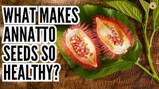 Exploring Annatto's Holistic Benefits 🌼🌶️💫