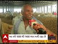 peanut price સૌરાષ્ટ્ર માર્કેટિંગ યાર્ડમાં મગફળીની આવક કેટલા મળ્યા ભાવ