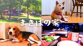 十勝【まきばの家】愛犬２匹と夫婦で泊まる【森の中のコテージ】