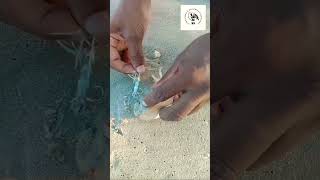 shore jigging and fishing video Malayalam    Kanava Koonthal#shorts #youtubeshorts