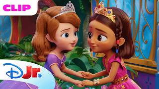 Sofia Makes New Royal Friends | Sofia the First: Royal Magic | @disneyjr