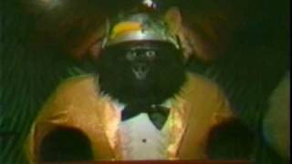 The Rock-afire Explosion - History of the Colander