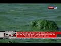 qrt llda nagpadala na ng mga tauhan para masuri ang mga nabubulok na algae sa laguna de bay