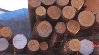 Timberico Siberian Larch Production