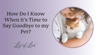 How Do I Know When it's Time to Say Goodbye to my Pet?