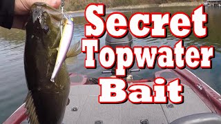 Best FALL Topwater You've NEVE Heard Of